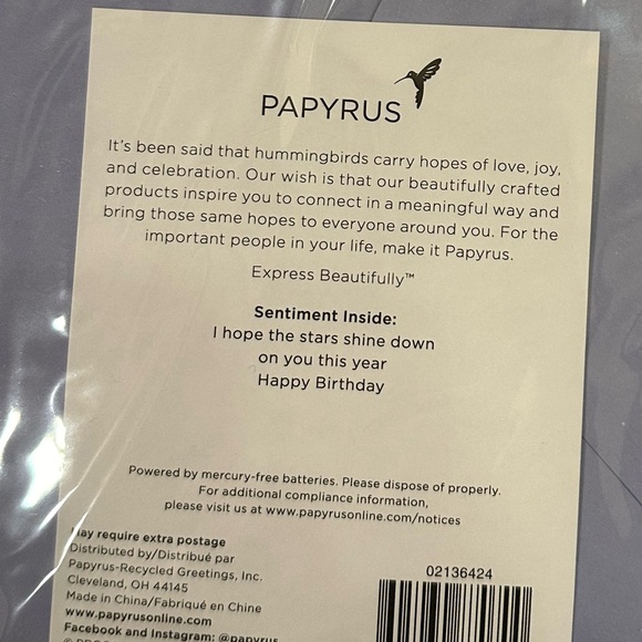 Lot of 16 Papyrus Greeting Cards—Birthday, Get Well, Christmas - Picture 15 of 15